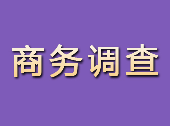 江阳商务调查